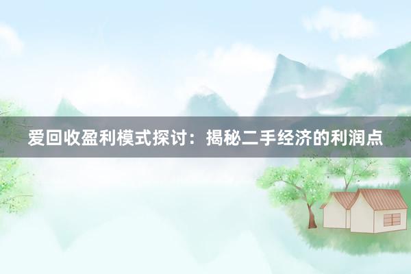 爱回收盈利模式探讨：揭秘二手经济的利润点