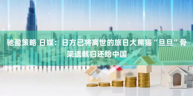 驰盈策略 日媒：日方已将离世的旅日大熊猫“旦旦”骨架遗骸归还给中国
