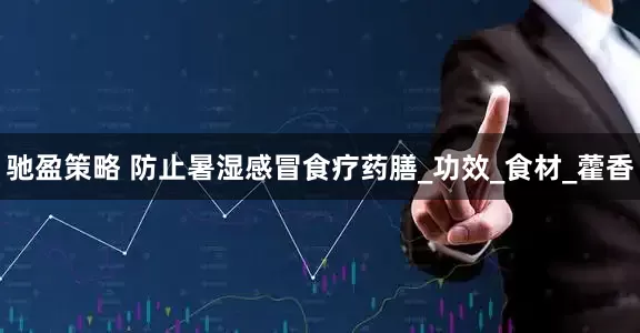 驰盈策略 防止暑湿感冒食疗药膳_功效_食材_藿香